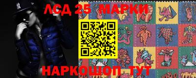 спиды Сланцы