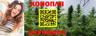 спиды Сланцы