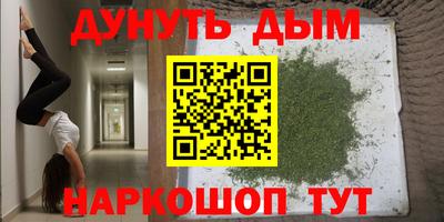 спиды Сланцы