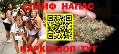МДПВ Славянск-на-Кубани