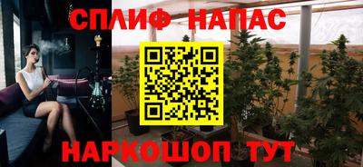 спиды Сланцы
